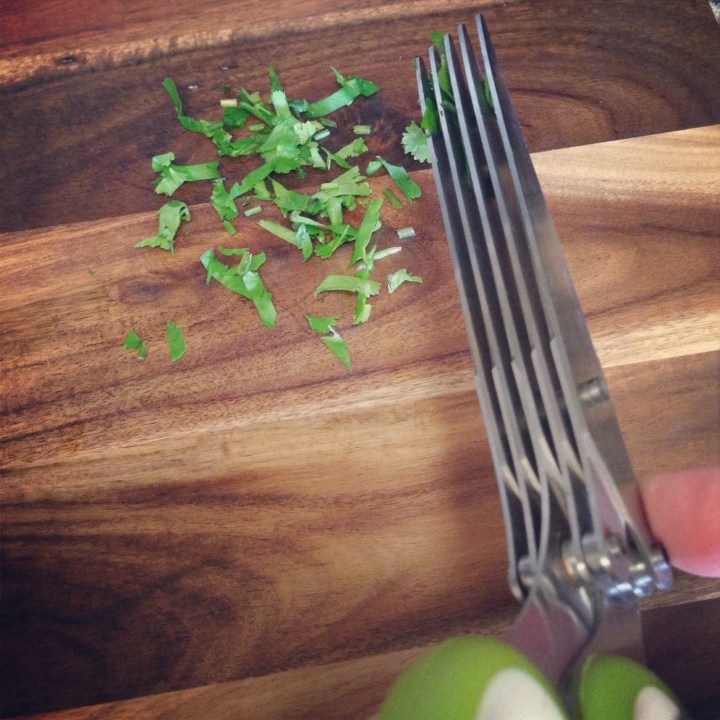 Herb Scissors - Must Have!
