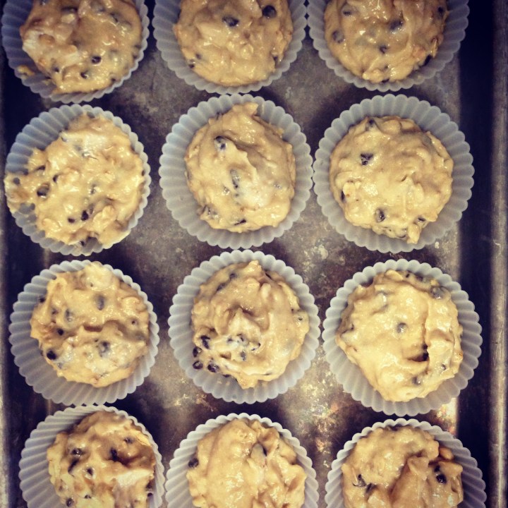 Moist Chocolate Chip Oatmeal Muffins