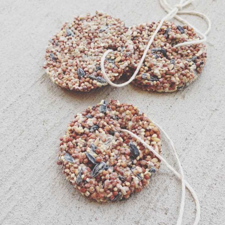 Birdseed Bird Feeder Ornaments