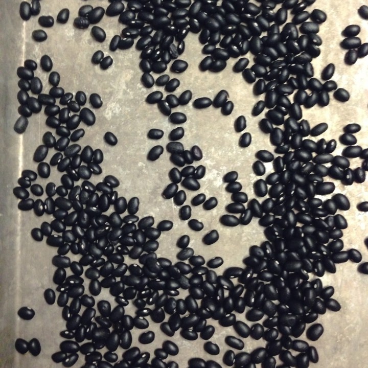 Crockpot Mexican Black Beans