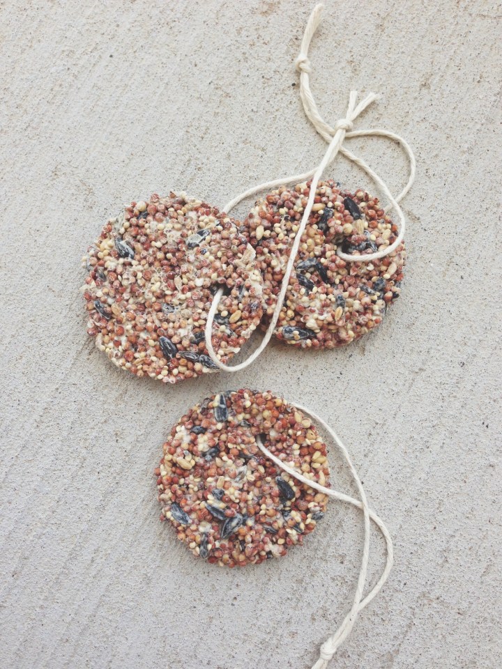 Processed with VSCO with t1 preset