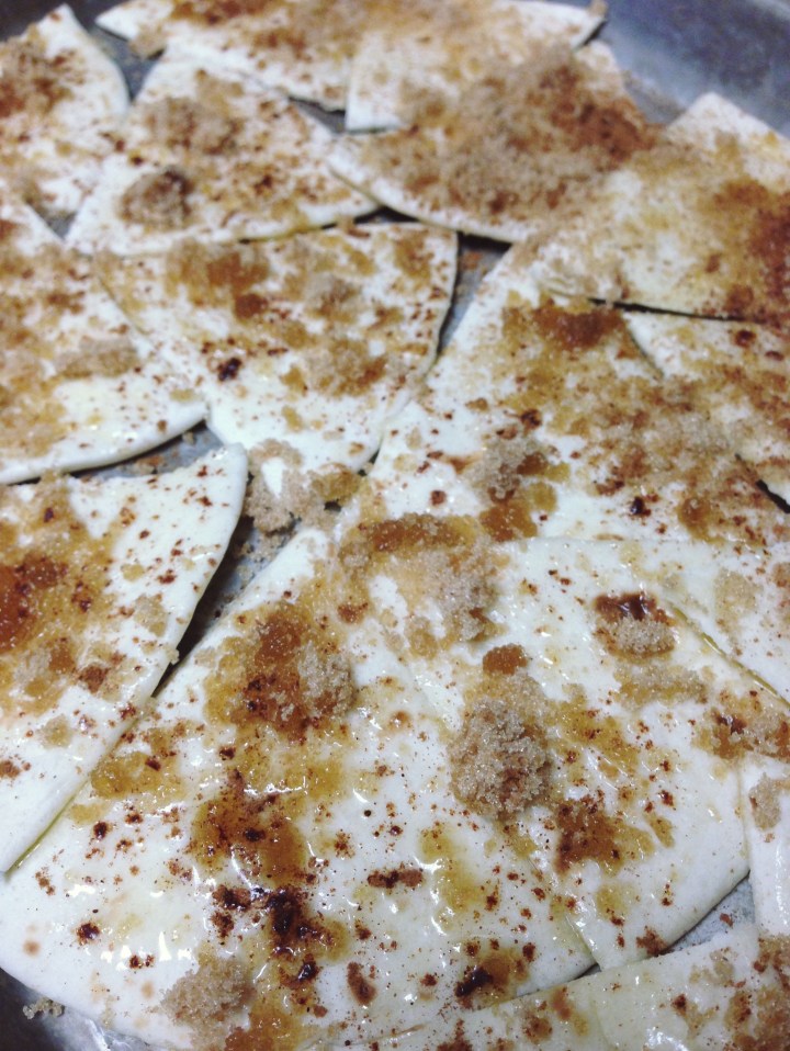Cinnamon Tortilla Chips