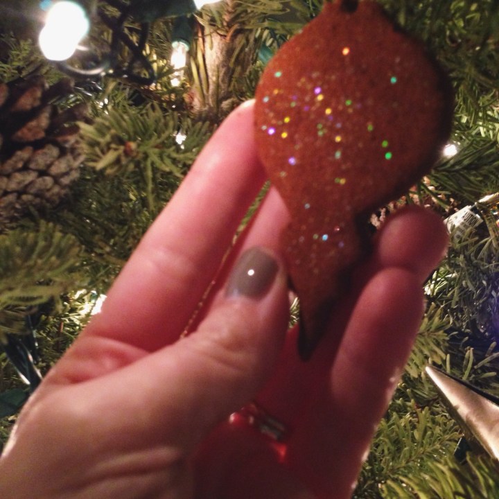 Shimmer Cinnamon Ornaments