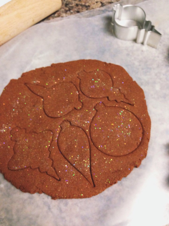 Shimmer Cinnamon Ornaments