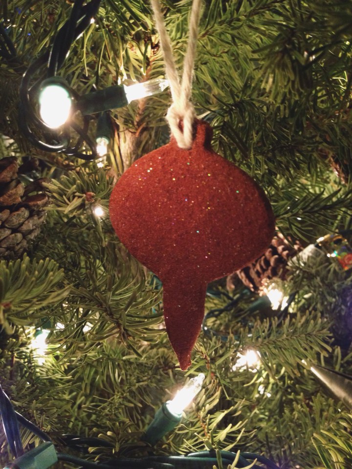 Shimmer Cinnamon Ornaments