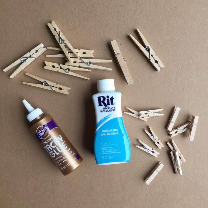 Tutorial for Dyeing Clothespins | Snowflake Ornaments