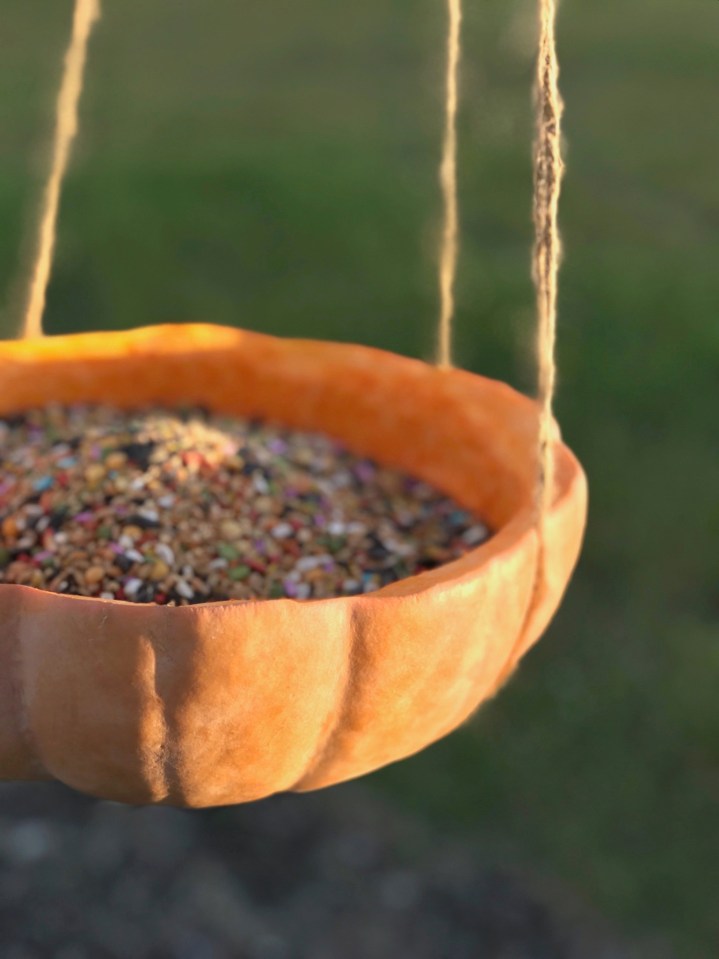 DIY Pumpkin Bird Feeder